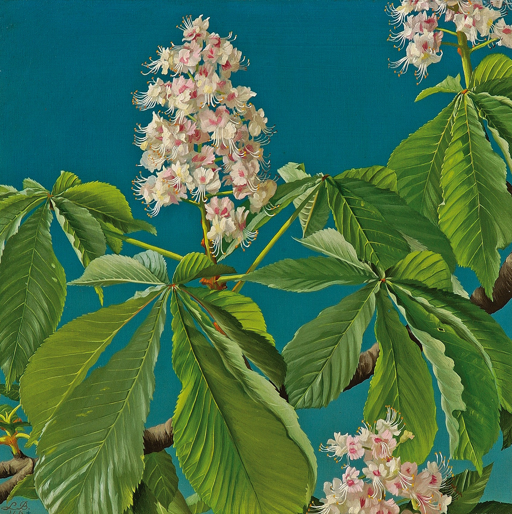 Lodewijk-Bruckman-Blossom-Branche