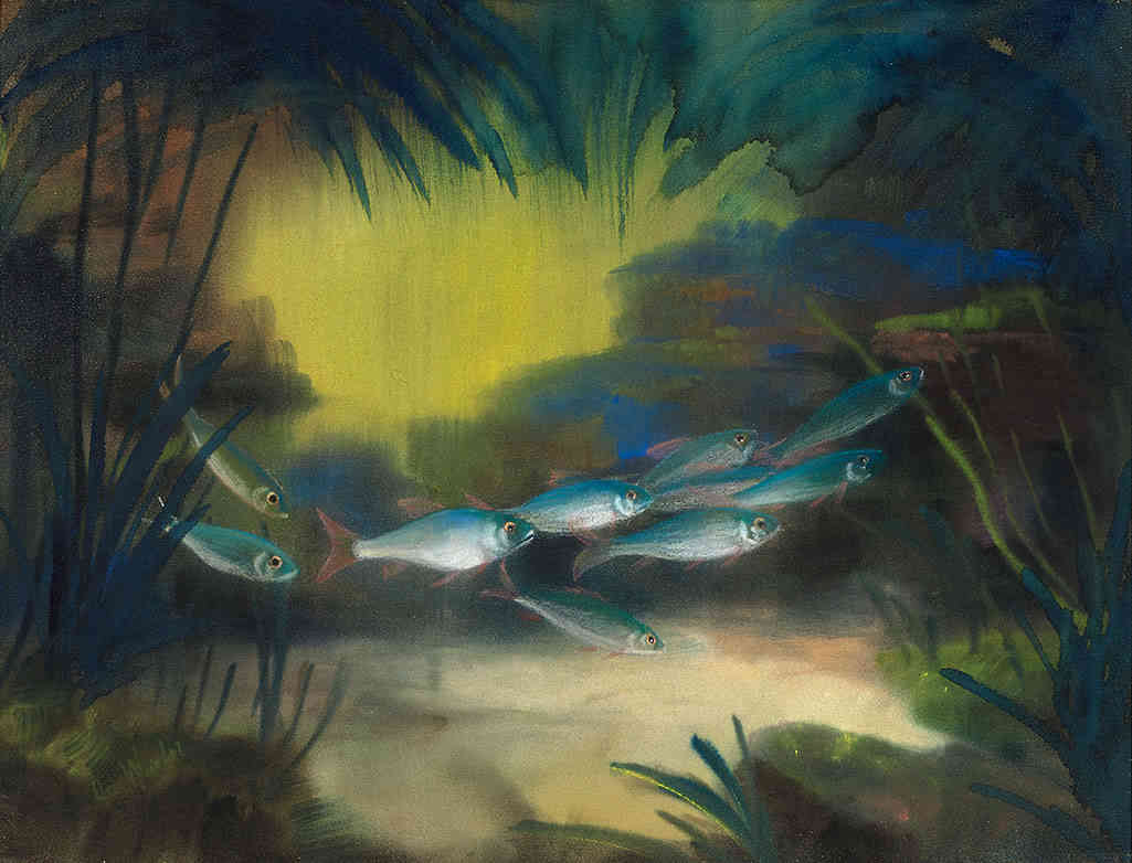 WinterJde_Vissen_01-2016_corr_01