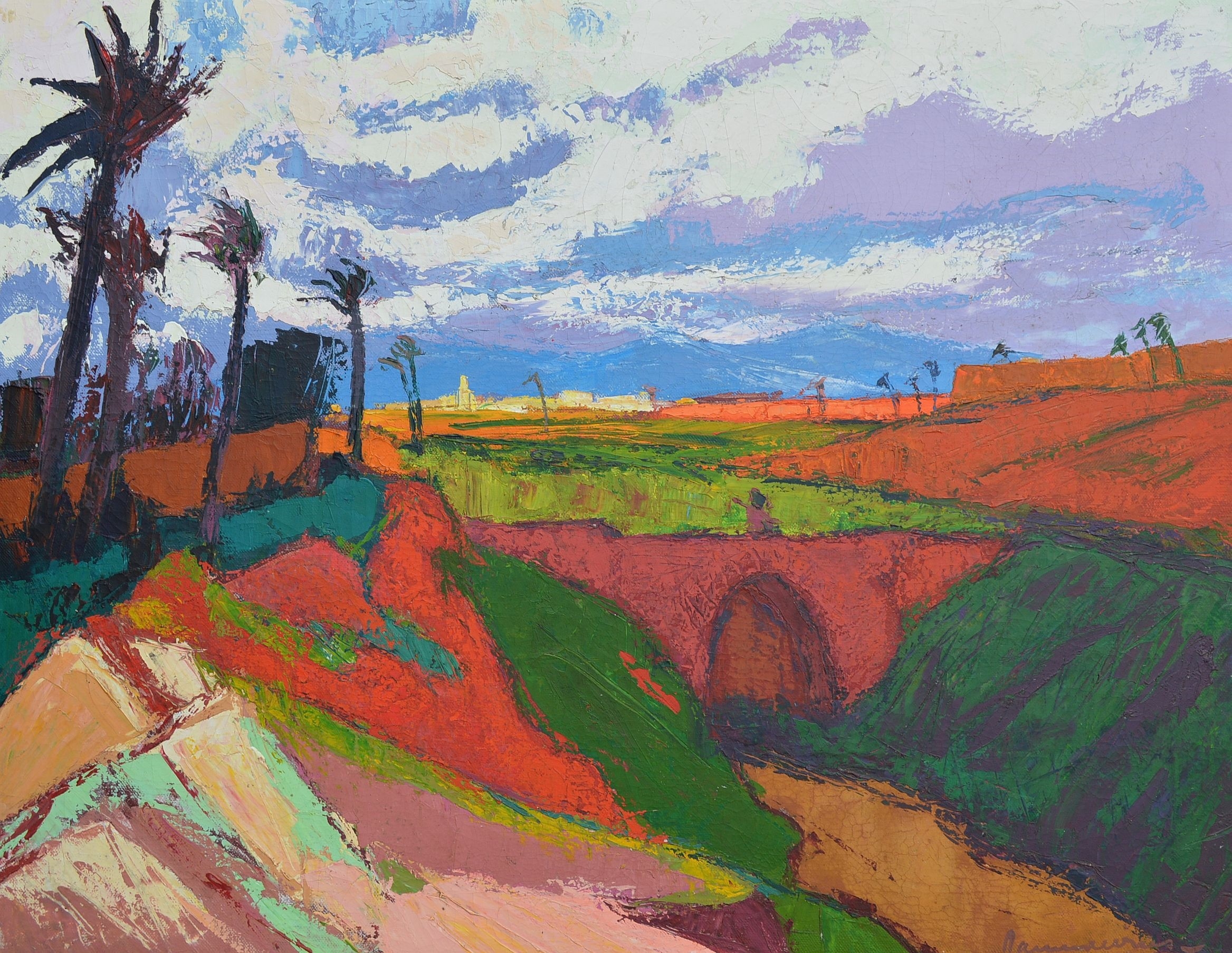Jannes de Vries Noord Afrikaans landschap